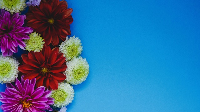 优势与劣势 优势与劣势