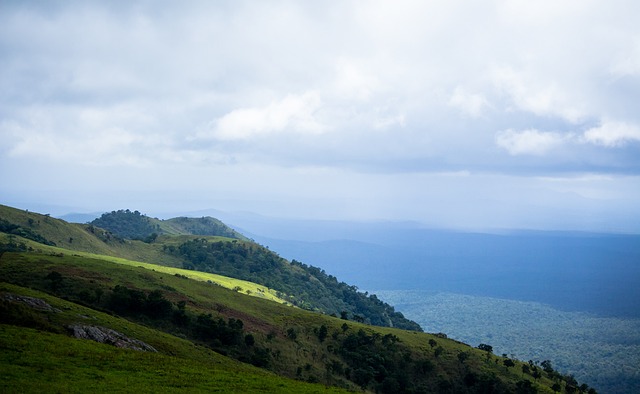 教练组可以 教练组可以