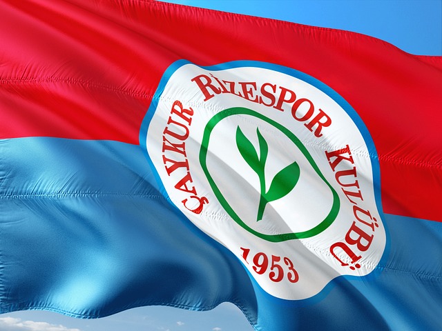 负的关键因 负的关键因