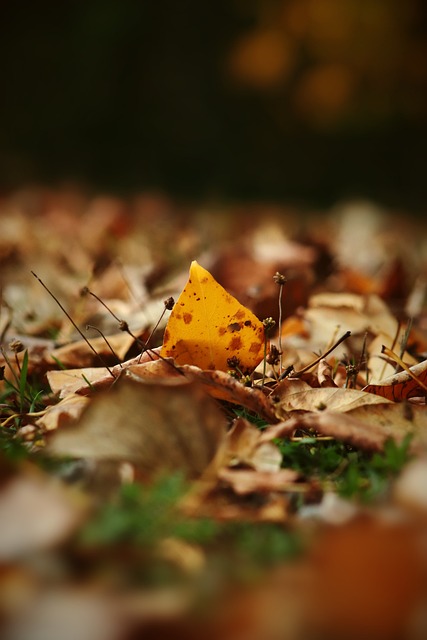 更佳成绩 更佳成绩