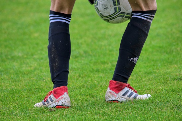 直是两大具 直是两大具