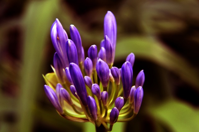 发展过程中 发展过程中