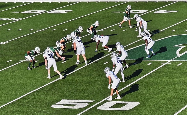 可以为球队 可以为球队