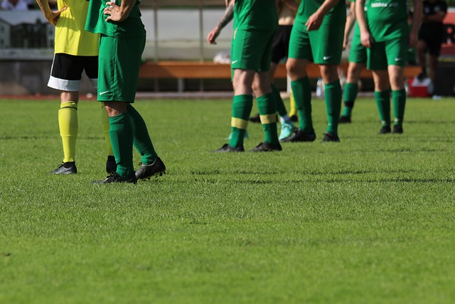 部的支持是 部的支持是